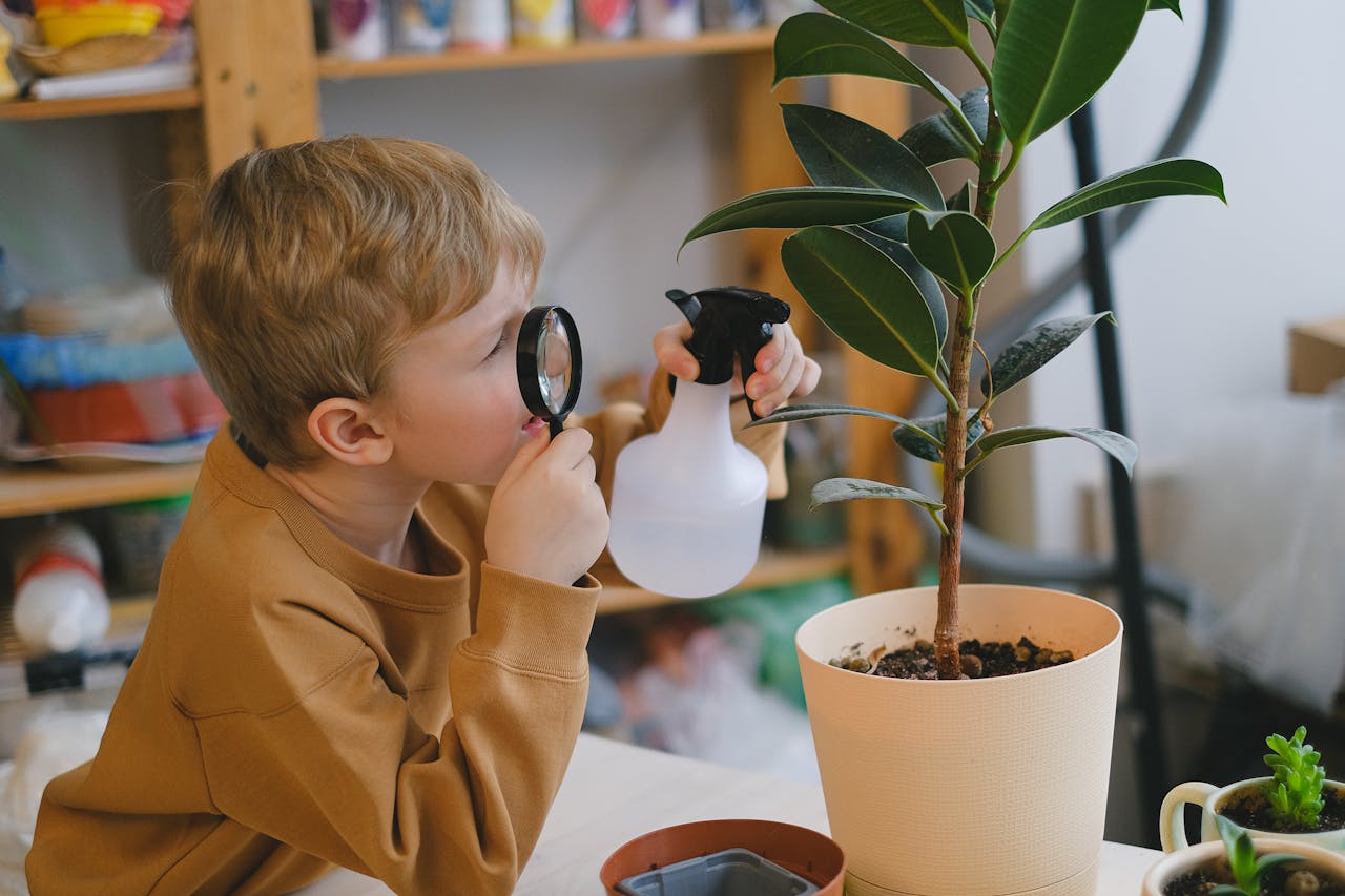 gallery-3 Young boy investigates a potted plant using a magnifying glass and spray bottle indoors.